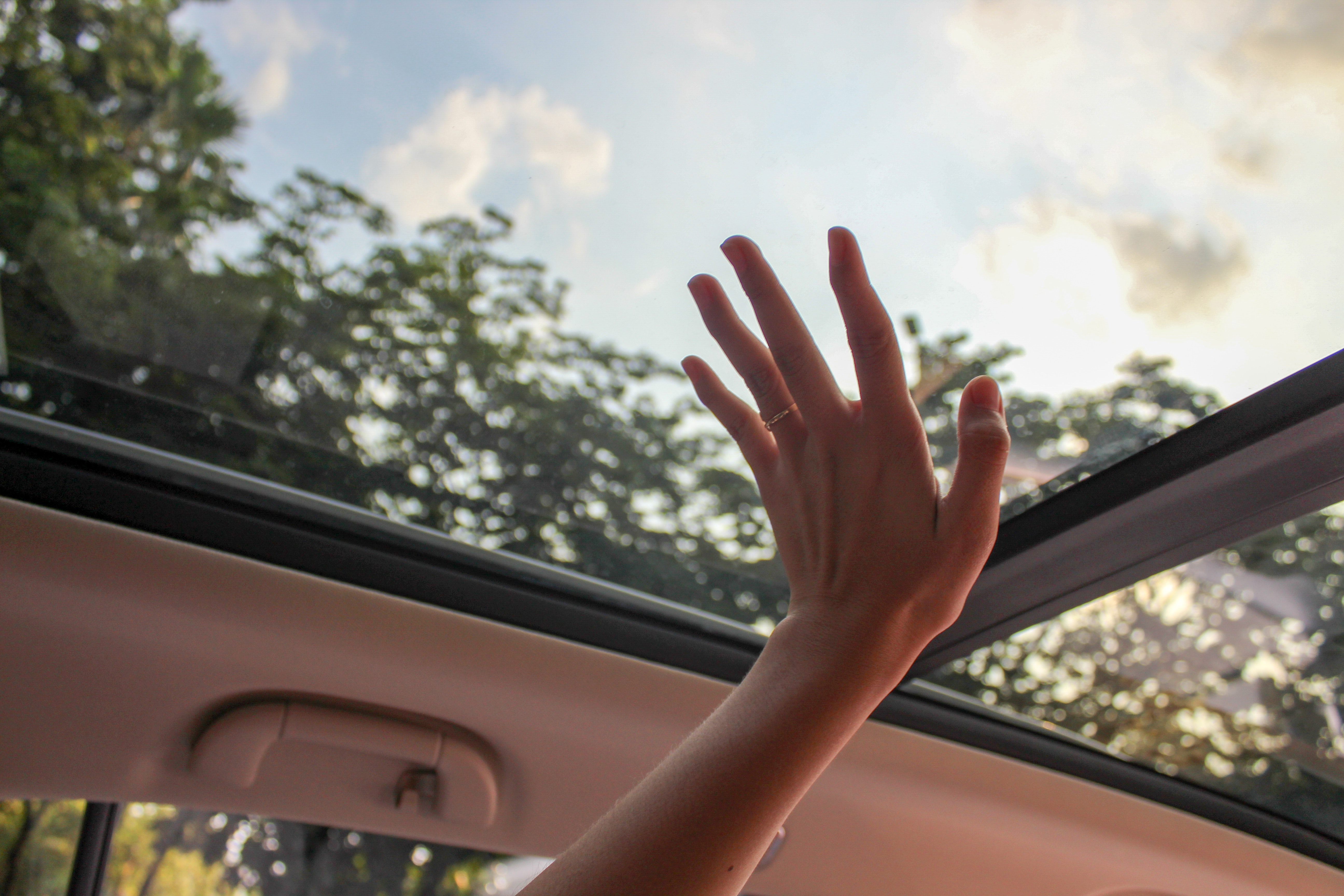 Sunroof Replacement
